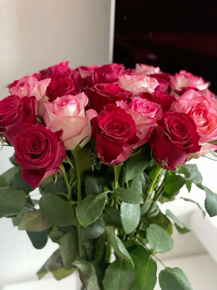 Celestial Harmony: Stars Entwined with Blooms